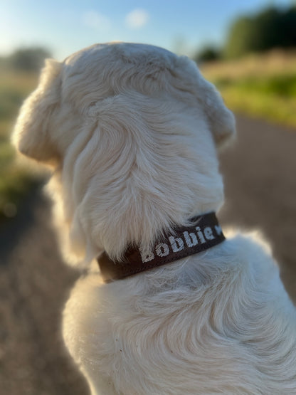 Dribbel Halsband Met Naam Bruin